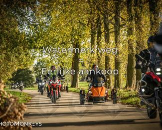 Herfstrit Moerzeke photo