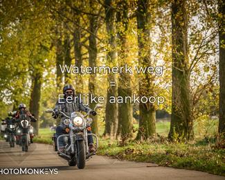 Herfstrit Moerzeke photo