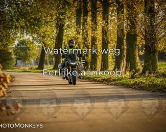 Herfstrit Moerzeke photo