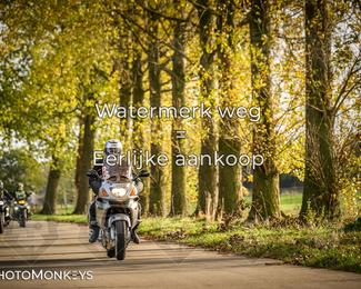 Herfstrit Moerzeke photo