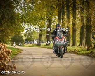 Herfstrit Moerzeke photo