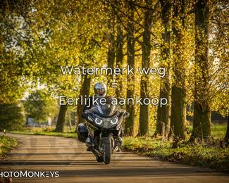 Herfstrit Moerzeke photo