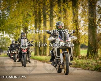 Herfstrit Moerzeke photo