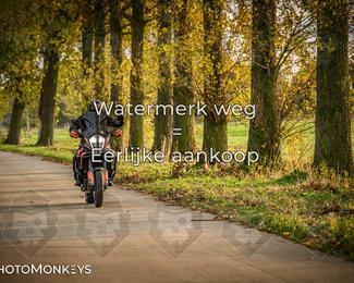 Herfstrit Moerzeke photo