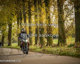 Herfstrit Moerzeke photo