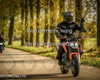 Herfstrit Moerzeke photo