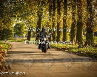 Herfstrit Moerzeke photo