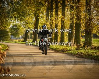 Herfstrit Moerzeke photo