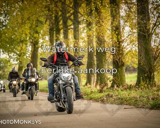 Herfstrit Moerzeke photo