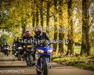 Herfstrit Moerzeke photo