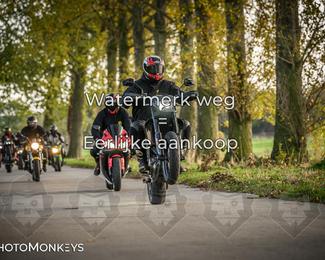 Balade d’automne Moerzeke photo