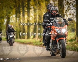 Herfstrit Moerzeke photo