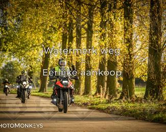 Herfstrit Moerzeke photo