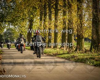 Herfstrit Moerzeke photo