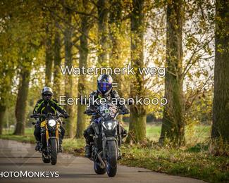 Herfstrit Moerzeke photo