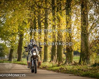 Herfstrit Moerzeke photo