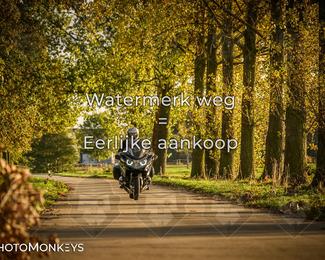 Herfstrit Moerzeke photo