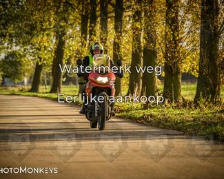 Herfstrit Moerzeke photo