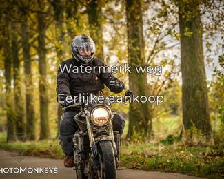 Herfstrit Moerzeke photo