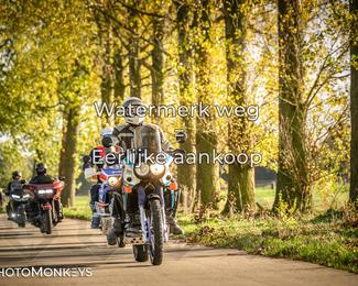 Herfstrit Moerzeke photo