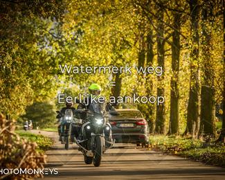 Herfstrit Moerzeke photo