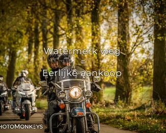 Herfstrit Moerzeke photo