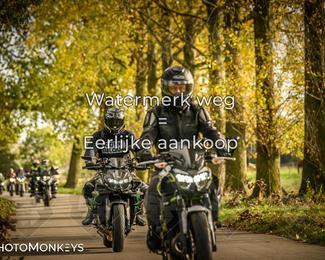 Herfstrit Moerzeke photo