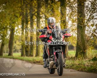 Herfstrit Moerzeke photo