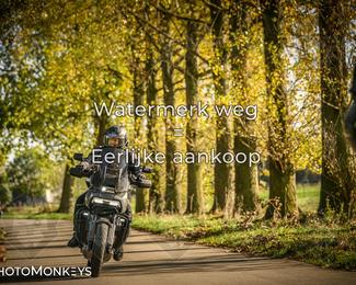 Herfstrit Moerzeke photo