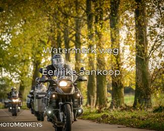 Herfstrit Moerzeke photo