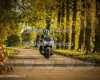 Herfstrit Moerzeke photo