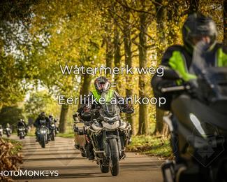 Herfstrit Moerzeke photo