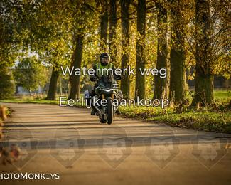 Herfstrit Moerzeke photo