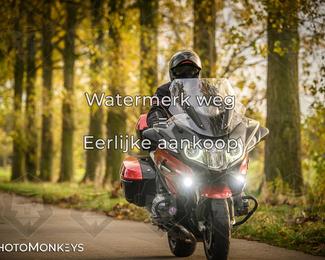 Herfstrit Moerzeke photo