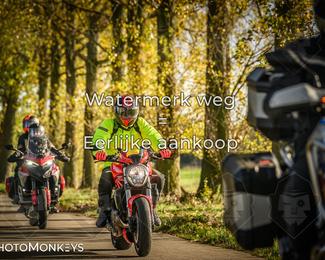 Herfstrit Moerzeke photo