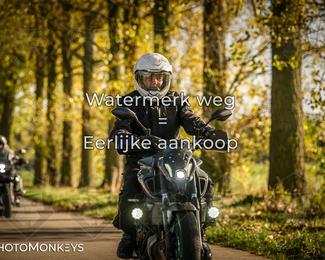 Herfstrit Moerzeke photo