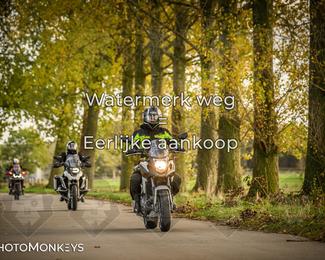 Herfstrit Moerzeke photo