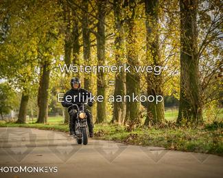 Herfstrit Moerzeke photo