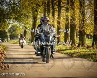 Herfstrit Moerzeke photo