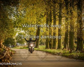 Herfstrit Moerzeke photo