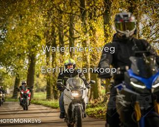 Herfstrit Moerzeke photo