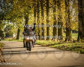 Herfstrit Moerzeke photo