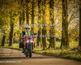 Herfstrit Moerzeke photo