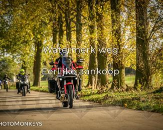 Herfstrit Moerzeke photo