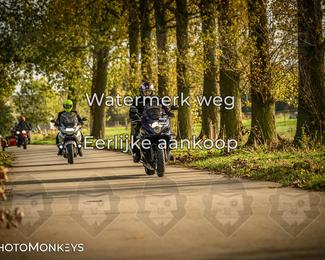 Herfstrit Moerzeke photo