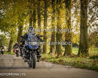 Herfstrit Moerzeke photo