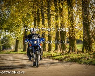 Herfstrit Moerzeke photo