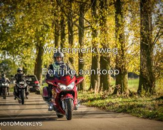 Herfstrit Moerzeke photo