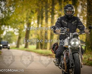 Herfstrit Moerzeke photo