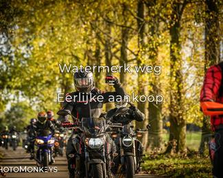 Herfstrit Moerzeke photo